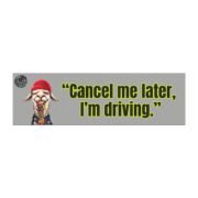 Car Magnet - 'Cancel me later, I'm driving.'