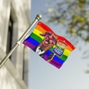 Flag - Heterosexual Pride - Image 2