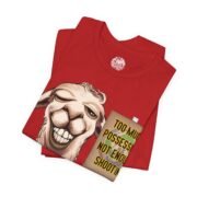 World Cup T-Shirt — SPAIN - Image 3
