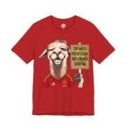 World Cup T-Shirt — SPAIN